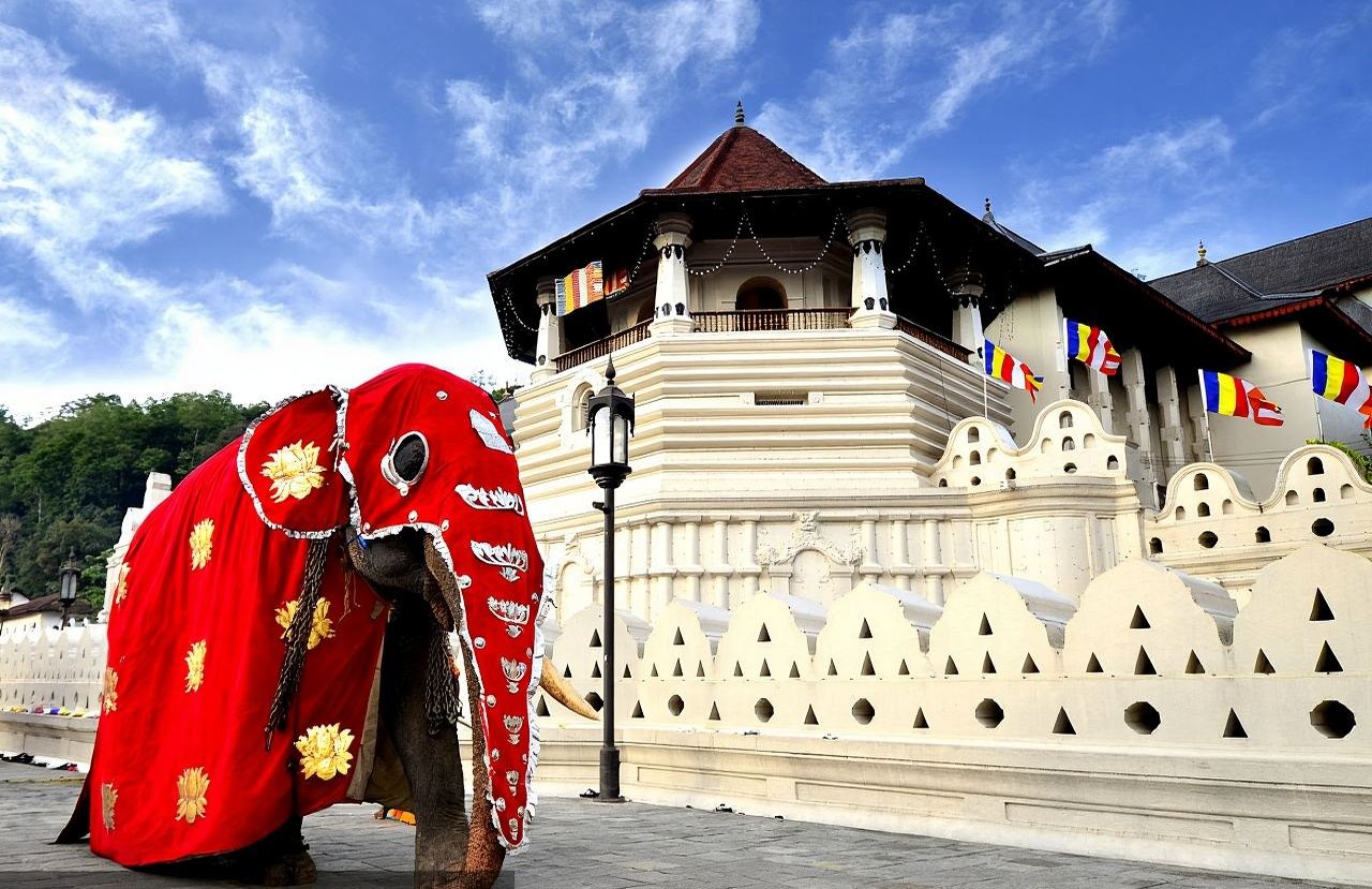 Ida y vuelta a Colombo, Sri Lanka|Servicio de coche privado con conductor para un día: Orfanato de Elefantes + Templo del Diente de Buda (Sri Dalada Maligawa) en Kandy + Lago de Kandy