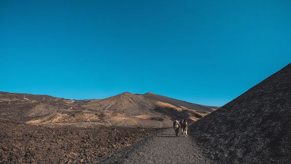 Tour mattutino dell'Etna da Catania