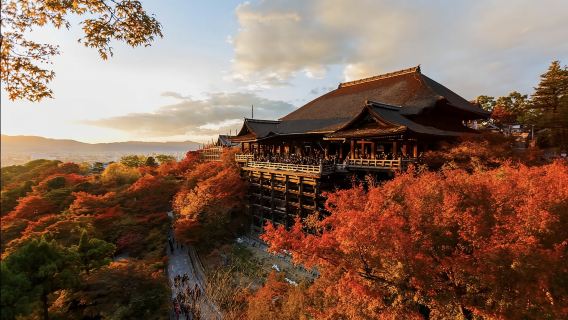 日本大阪-京都清水寺-高台寺-可定制 【中文專車-舒適純淨】
