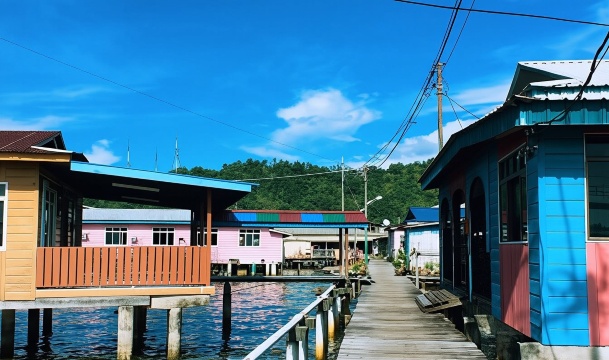 Brunei City 1-Day Tour: Kampong Ayer/YAYASAN Shopping Complex/Proboscis Monkey Tour