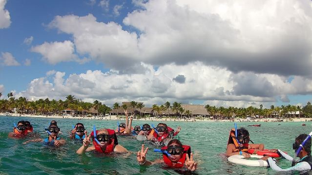 Swim with sea turtles