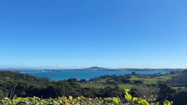ทัวร์ไวน์ The Essence of Waiheke