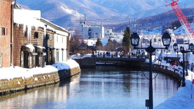 日本北海道小樽一日遊｜天狗山｜札幌來回｜尋找《情書》中的美景