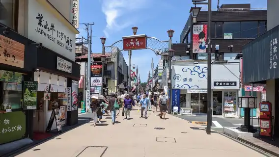 鶴岡八幡宮+鎌倉小町通+長谷寺+鎌倉大佛+江之島一日遊