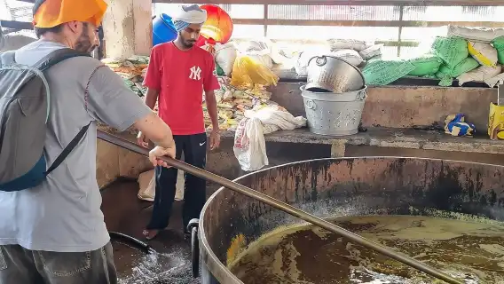 Golden Temple and Jallianwala Bagh Guided Tour