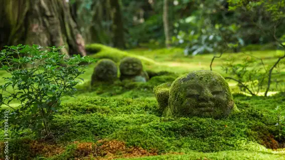 日本京都嵐山+三千院+貴船神社一日遊【可選9人精品小團/可選酒店上門接送 中文司導 純玩無購物】