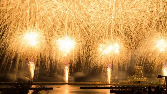 東京箱根熱海花火大會9人小團一日遊|東京飯店接駁＋中文服務