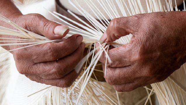 Half Day City Tour in Manta and Montecristi Landmarks