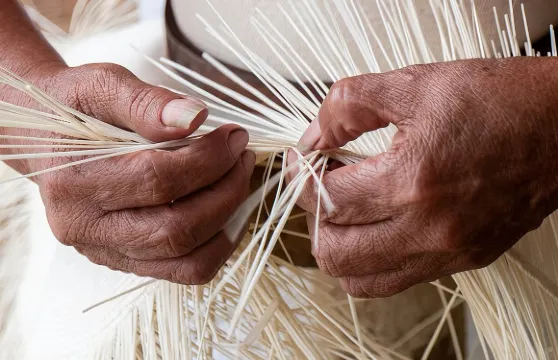 曼塔和蒙特克里斯蒂地標半日遊