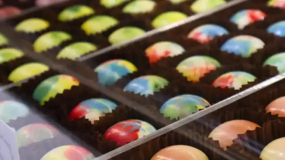 Hunter Valley: Wine, Chocolate and Lunch All Inclusive Tour