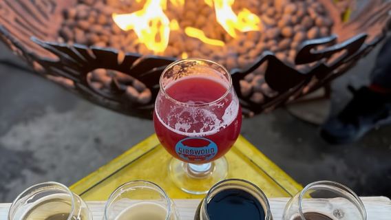 Anchorage: Bears, Beers, and Glacier Tour