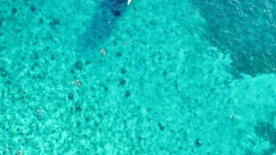 Key West: tour mattutino di snorkeling sulla barriera corallina con colazione e mimose