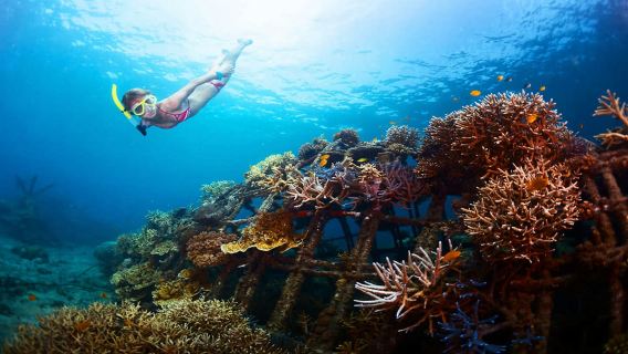 Bali orientale: escursione di un giorno tra snorkeling, canyoning e cascate