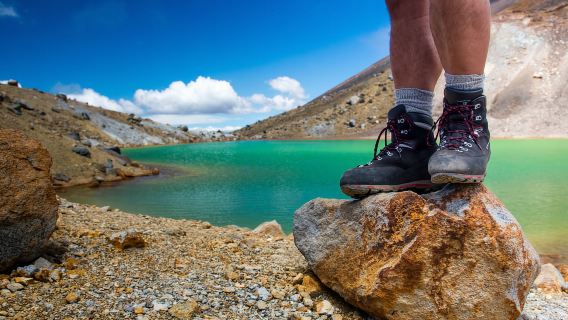 Travesía alpina de Tongariro con traslados en autobús