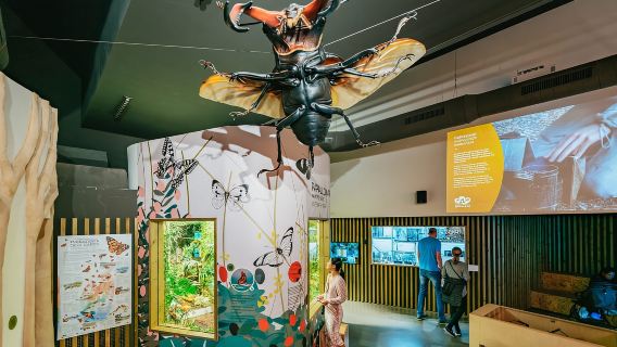 Барселона: билет на 1 день в зоопарк Барселоны