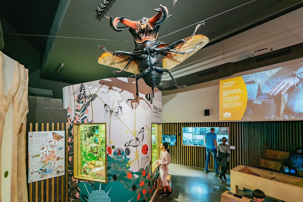 Barcellona: biglietto da 1 giorno per lo Zoo di Barcellona