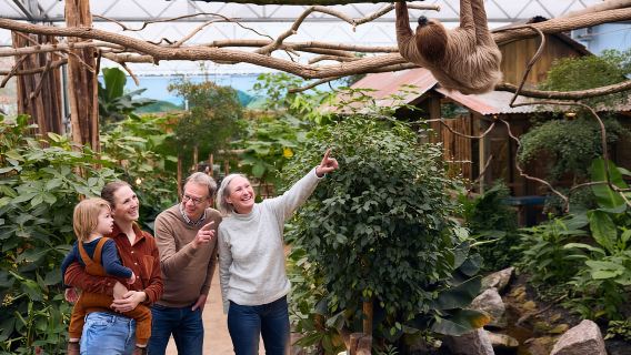 Overloon: Vé vào cổng ZooParc