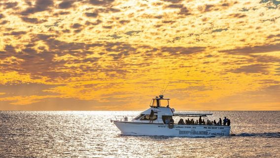 Croisière côtière sur les falaises au coucher du soleil à Kalbarri