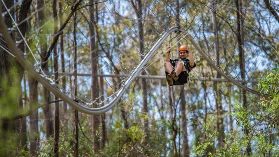 Ourimbah: Central Coast Zipcoaster