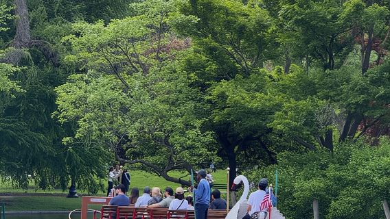 Old Boston : visite à pied de Beacon Hill et de Back Bay en français