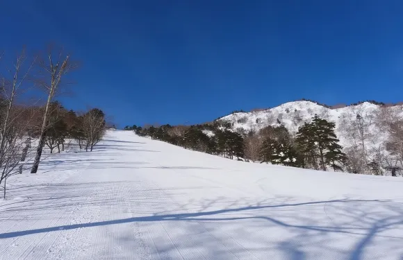小古那穗高滑雪場成人