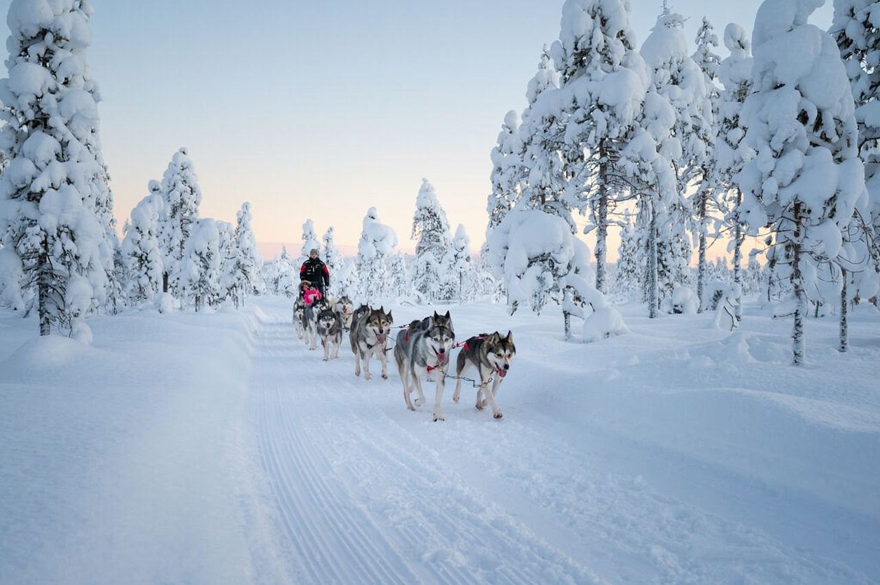 Esperienza in slitta con husky al Villaggio di Babbo Natale [breve giro in slitta trainata da cani senza guida autonoma]