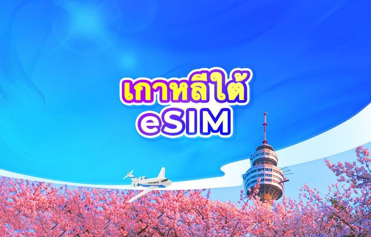 5G eSIM เกาหลีใต้ | ChatGPT พร้อมใช้งาน | แพ็กเกจรายวัน/รวมปริมาณดาต้า | นับเป็น 24 ชั่วโมง | 1-30 วัน | รหัส QR
