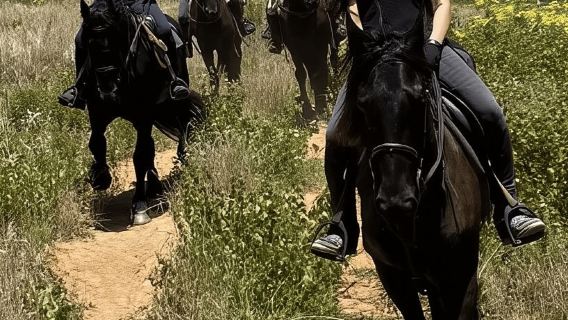 Vrede en Lust Wine Estate: 1h30m Horse Trail Ride