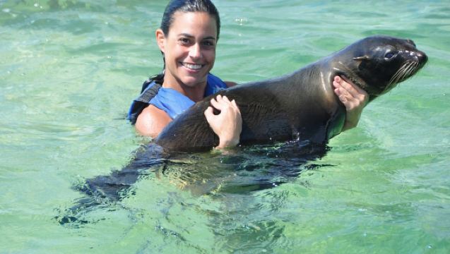 Dolphin Explorer - Aquatic Animals Adventure Park