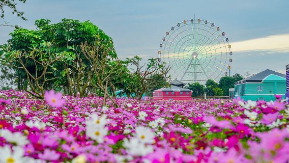 Beihai Private Guided 1-Day Tour Mangrove Forest Beihai Garden Expo Beihai Old Street Silver Beach Qiaogang Style Street