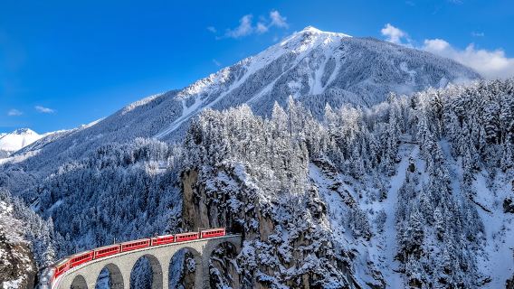 OsloTravel Services