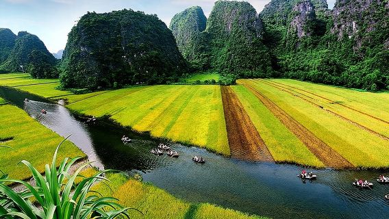 Ninh Binh Day Trips- from Hanoi