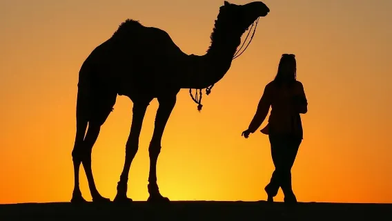 Piacevole safari al tramonto con cena sulle dune (dalle 14:00 alle 22:00 circa)