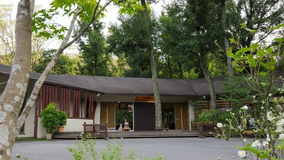 モダン湯治 おんりーゆー