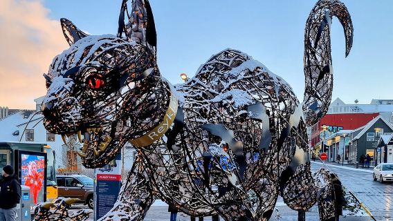 The Reykjavik Cat Walking Tour