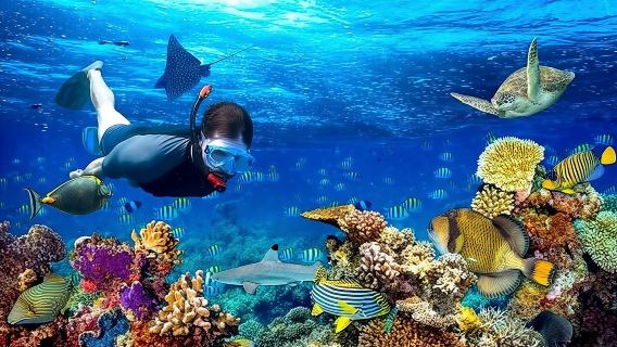 Roatan-Landausflug: Schnorcheln, Faultiere & Affen, Strandurlaub