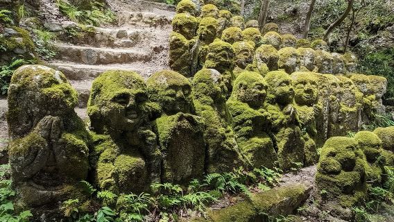Otagi Nenbutsu Temple and Arashiyama Bamboo Forest Tour