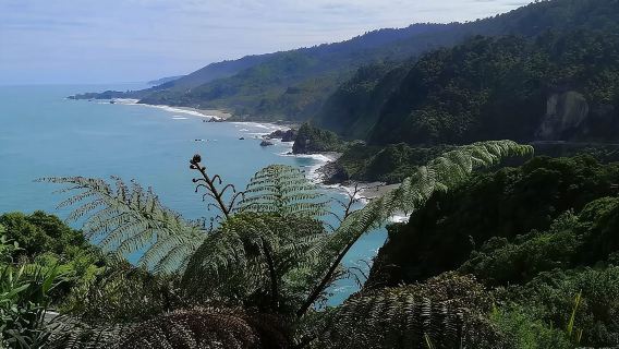 Ganztagestour zu den Sehenswürdigkeiten und kulinarischen Genüssen der Westküste