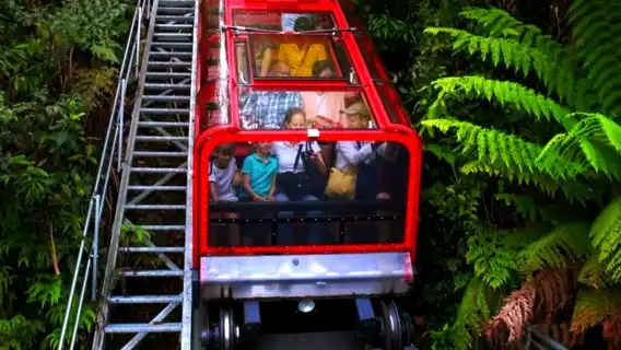 澳大利亞雪梨藍山國家公園一日遊【中團/小團可選/市區接駁】