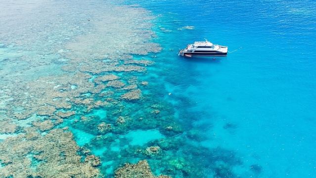 Gran Barrera de Coral con guías culturales: Dreamtime Dive & Snorkel