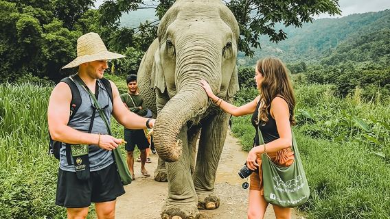 ทัวร์ 1 วันด้วยรถจี๊ปที่เกาะสมุย + สปาช้างใกล้ชิดช้าง + น้ำตกนามอง