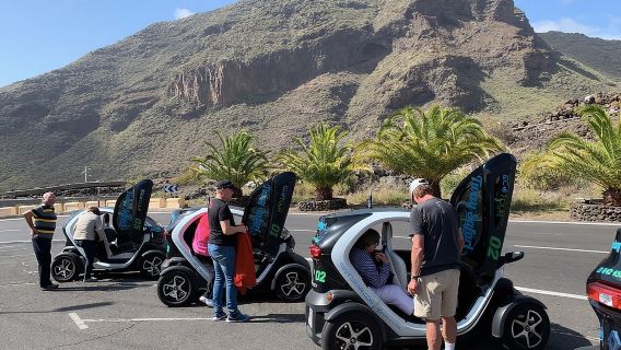 4-Hour Eco Mountain Safari Tour with Electric Car in Tenerife