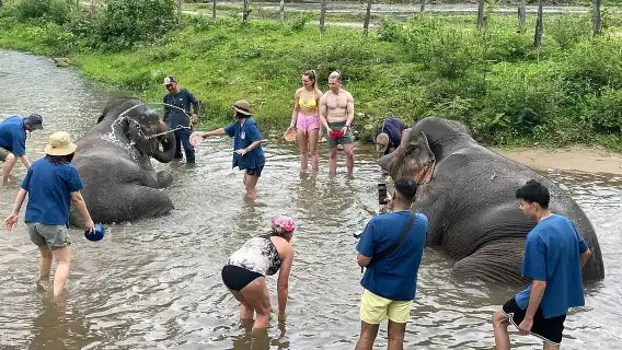 泰國清邁LG大象營+粘粘瀑布一日遊