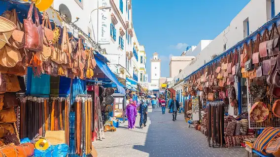 From Marrakech To Essaouira Mogador Full Day Trip | Small-group
