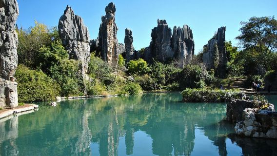 [Esperienza premium] Tour di un giorno a Kunming Shilin + Jiuxiang | Opzione tour privato con autista