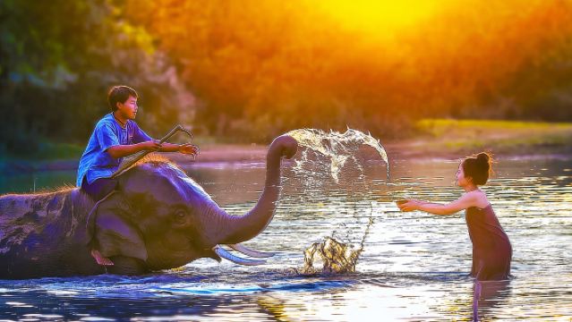 チェンマイ エレファントカフェ＆ブアトーン滝-ナムプ チェットシー国立公園＆天使の滝＆ブルーテンプル ワンデーツアー、ニューエレファントキャンプで象と触れ合い＆水浴び体験