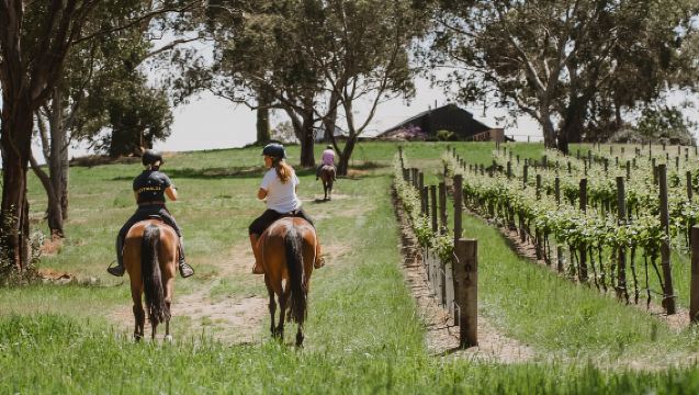 Petaluma: Horseback Riding and Wine Tasting Tour