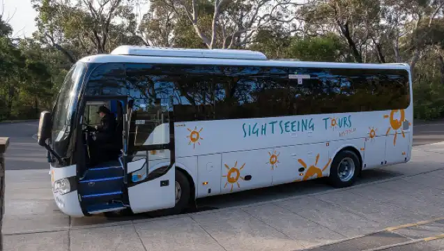 從雪梨出發：藍山、風景鐵路和雪梨動物園