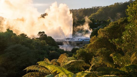 Auckland: Rotorua Highlights w TePuia & Secret Spot Hot Tubs