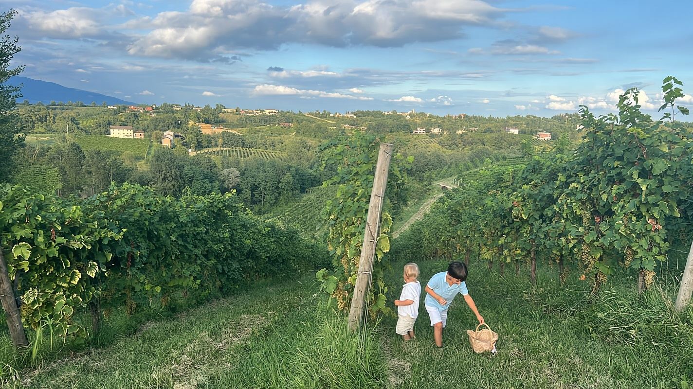 Prosecco: Wine & Food Feast in Family Osteria